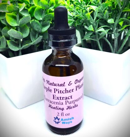 Purple Pitcher Plant Extract