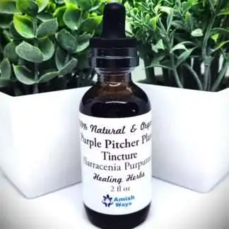 Purple Pitcher Plant Tincture