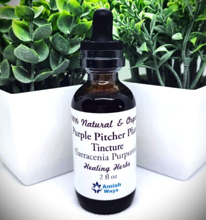 Purple Pitcher Plant Tincture