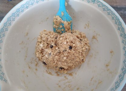 Oatmeal Raisin Cookie Dough